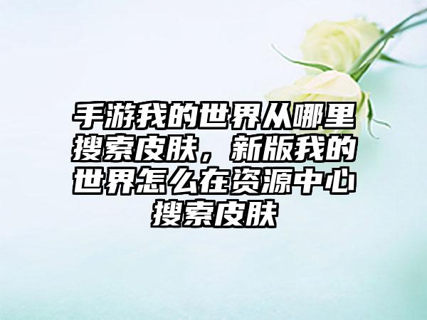 手游我的世界从哪里搜索皮肤，新版我的世界怎么在资源中心搜索皮肤