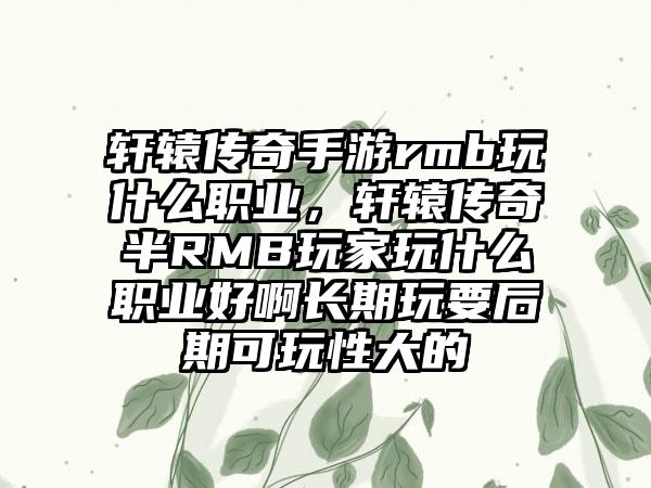 轩辕传奇手游rmb玩什么职业，轩辕传奇半RMB玩家玩什么职业好啊长期玩要后期可玩性大的