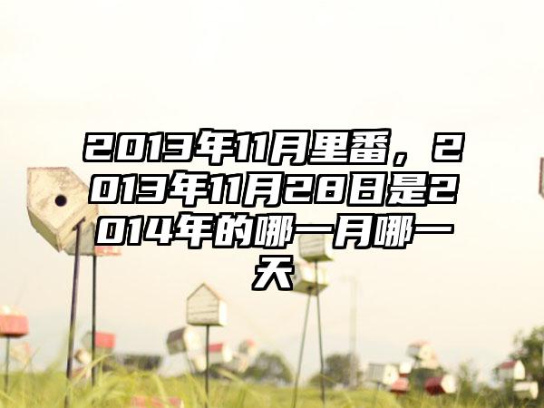 2013年11月里番，2013年11月28日是2014年的哪一月哪一天