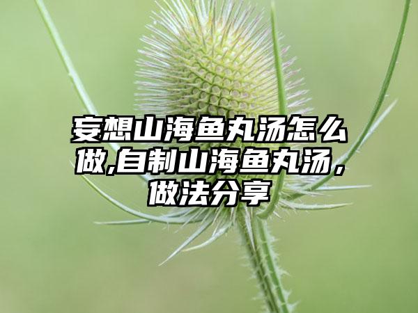 妄想山海鱼丸汤怎么做,自制山海鱼丸汤，做法分享