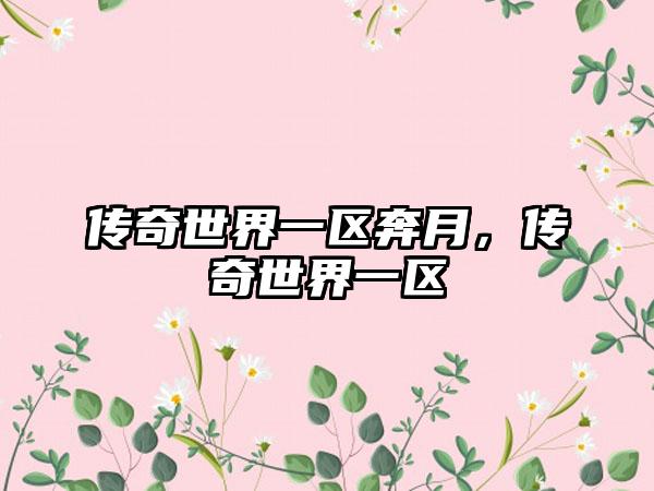 传奇世界一区奔月，传奇世界一区