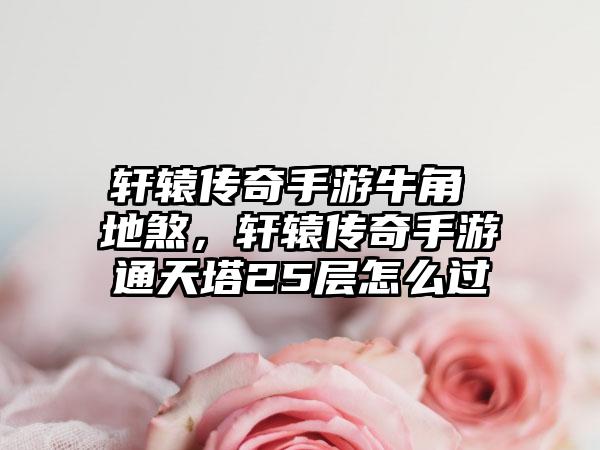 轩辕传奇手游牛角 地煞，轩辕传奇手游通天塔25层怎么过