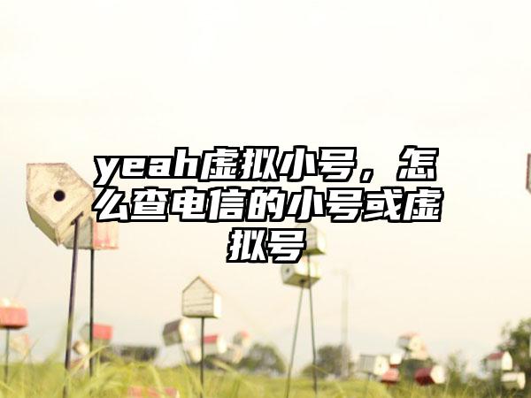 yeah虚拟小号，怎么查电信的小号或虚拟号