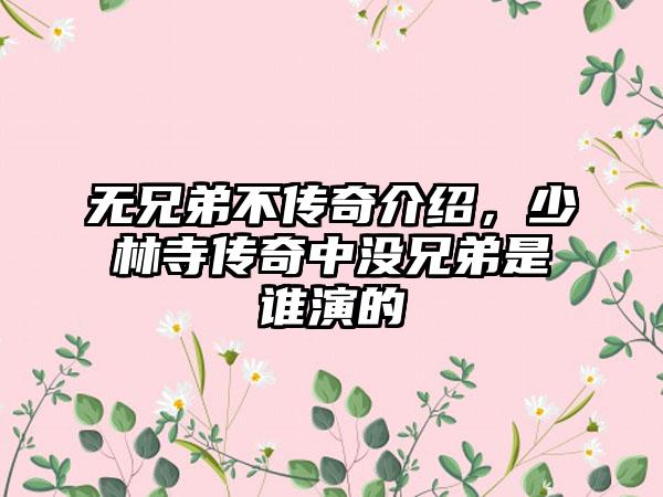 无兄弟不传奇介绍，少林寺传奇中没兄弟是谁演的