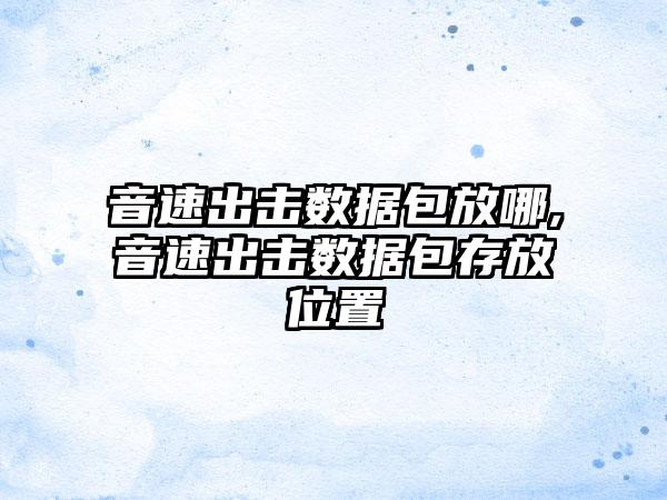 音速出击数据包放哪,音速出击数据包存放位置