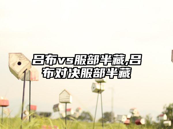 吕布vs服部半藏,吕布对决服部半藏