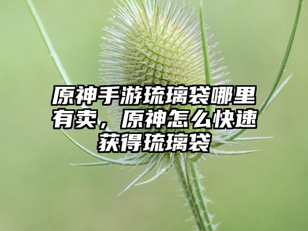 原神手游琉璃袋哪里有卖，原神怎么快速获得琉璃袋