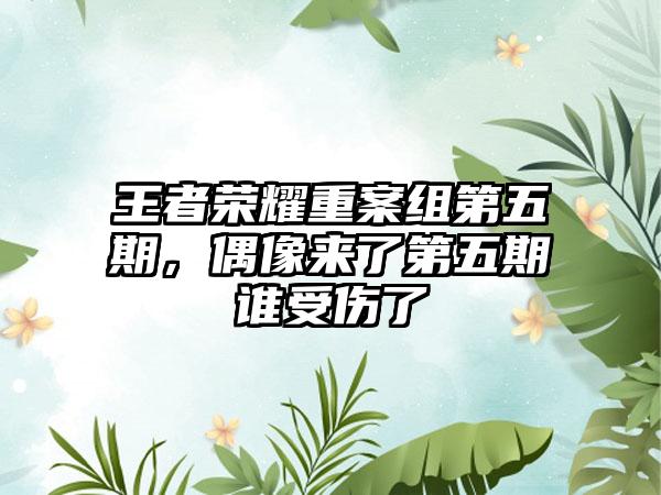 王者荣耀重案组第五期，偶像来了第五期谁受伤了