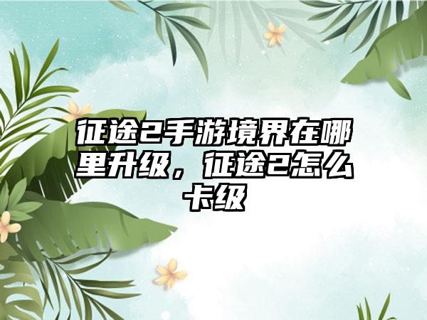 征途2手游境界在哪里升级，征途2怎么卡级