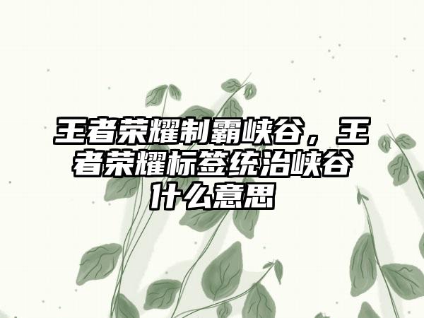 王者荣耀制霸峡谷，王者荣耀标签统治峡谷什么意思