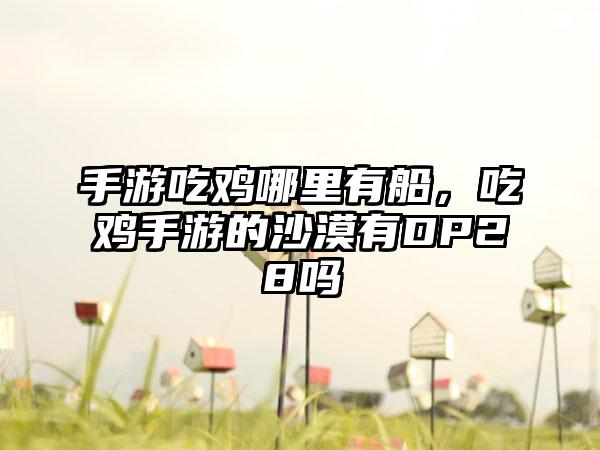 手游吃鸡哪里有船，吃鸡手游的沙漠有DP28吗