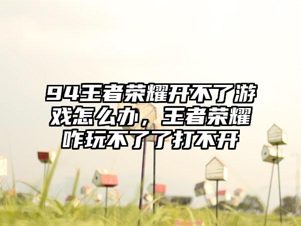 94王者荣耀开不了游戏怎么办，王者荣耀咋玩不了了打不开