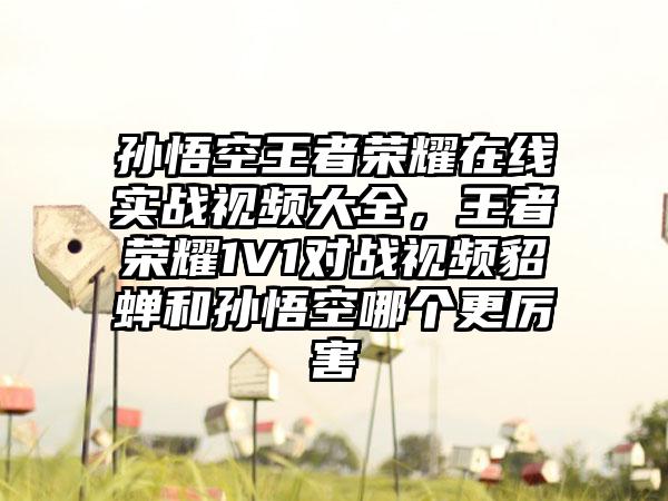 孙悟空王者荣耀在线实战视频大全，王者荣耀1V1对战视频貂蝉和孙悟空哪个更厉害