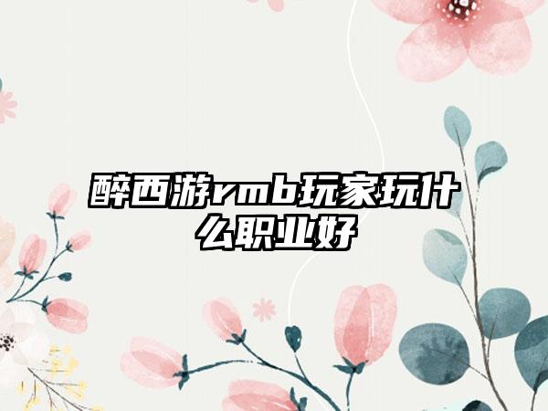 醉西游rmb玩家玩什么职业好