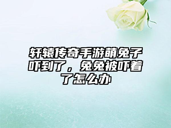 轩辕传奇手游萌兔子吓到了，兔兔被吓着了怎么办