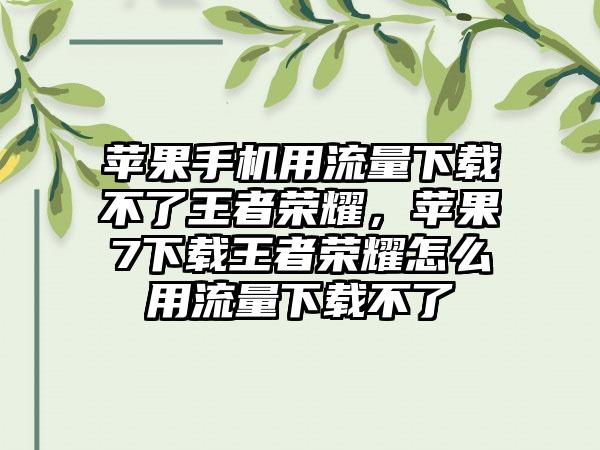 苹果手机用流量下载不了王者荣耀，苹果7下载王者荣耀怎么用流量下载不了