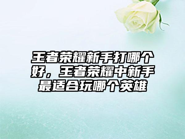 王者荣耀新手打哪个好，王者荣耀中新手最适合玩哪个英雄