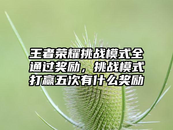 王者荣耀挑战模式全通过奖励，挑战模式打赢五次有什么奖励