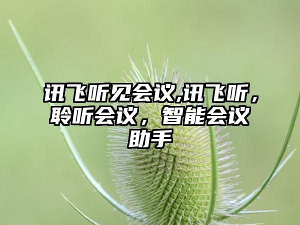 讯飞听见会议,讯飞听，聆听会议，智能会议助手