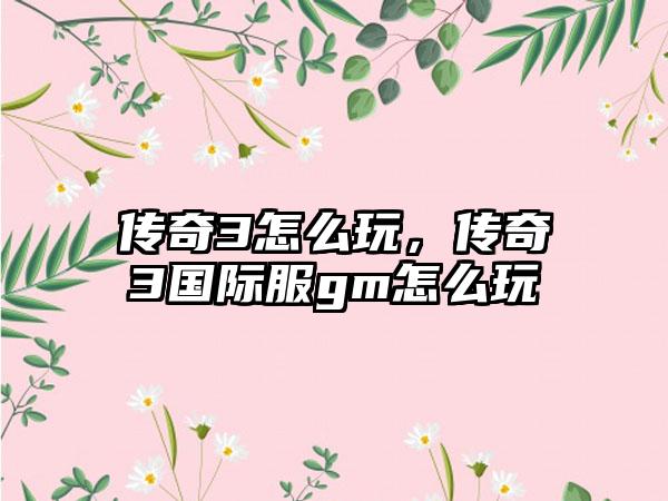 传奇3怎么玩，传奇3国际服gm怎么玩