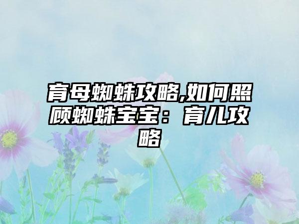 育母蜘蛛攻略,如何照顾蜘蛛宝宝：育儿攻略