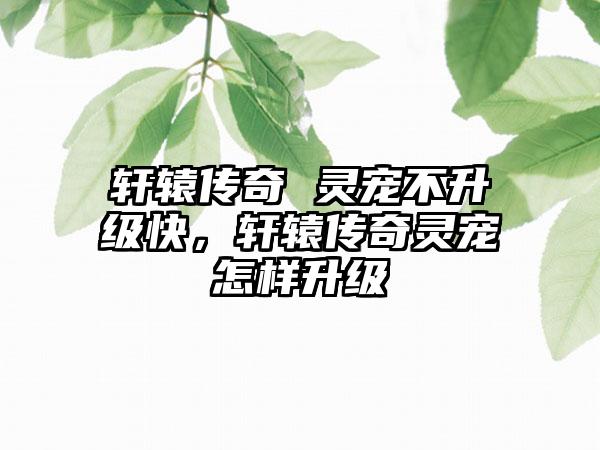 轩辕传奇 灵宠不升级快，轩辕传奇灵宠怎样升级