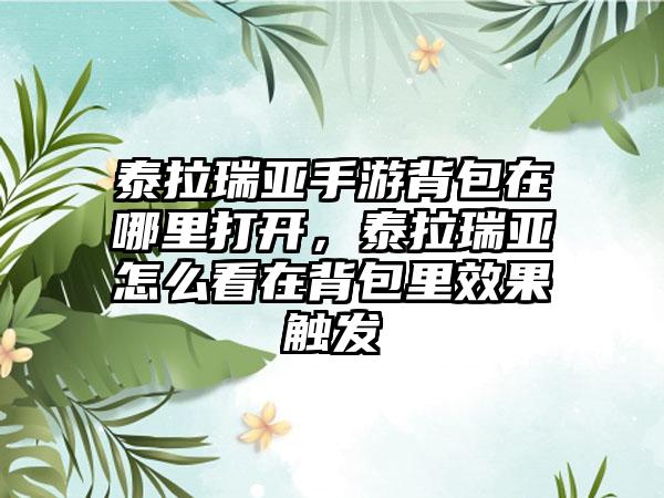 泰拉瑞亚手游背包在哪里打开，泰拉瑞亚怎么看在背包里效果触发
