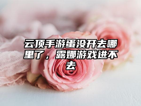 云顶手游蛋没开去哪里了，露娜游戏进不去