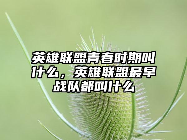 英雄联盟青春时期叫什么，英雄联盟最早战队都叫什么
