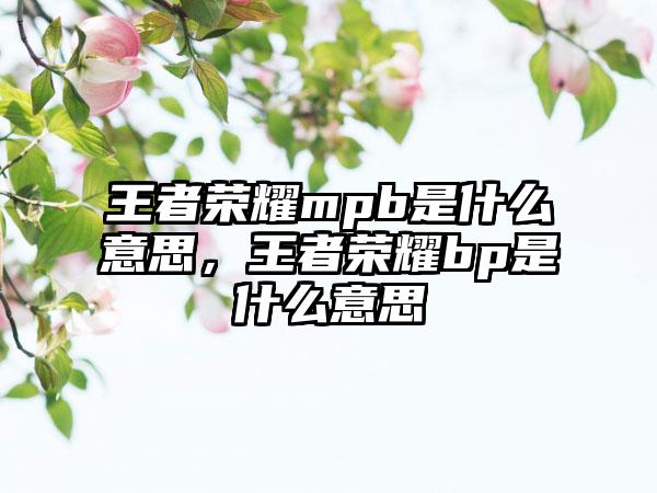 王者荣耀mpb是什么意思，王者荣耀bp是什么意思