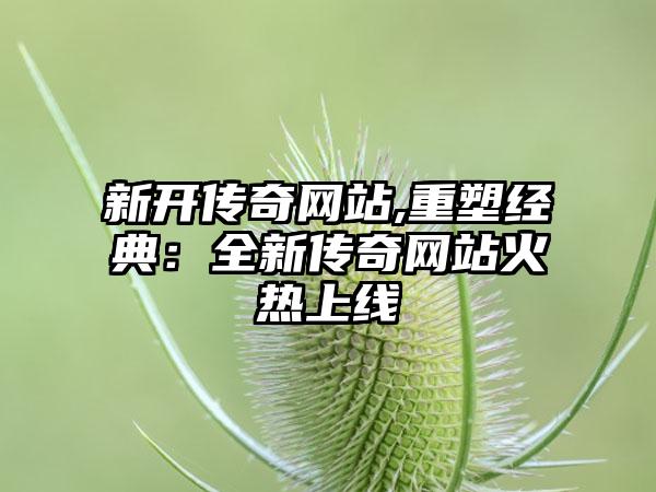 新开传奇网站,重塑经典：全新传奇网站火热上线
