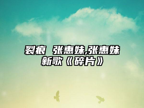 裂痕 张惠妹,张惠妹新歌《碎片》