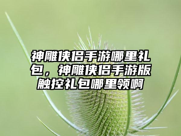 神雕侠侣手游哪里礼包，神雕侠侣手游版触控礼包哪里领啊