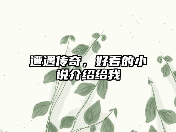 遭遇传奇，好看的小说介绍给我