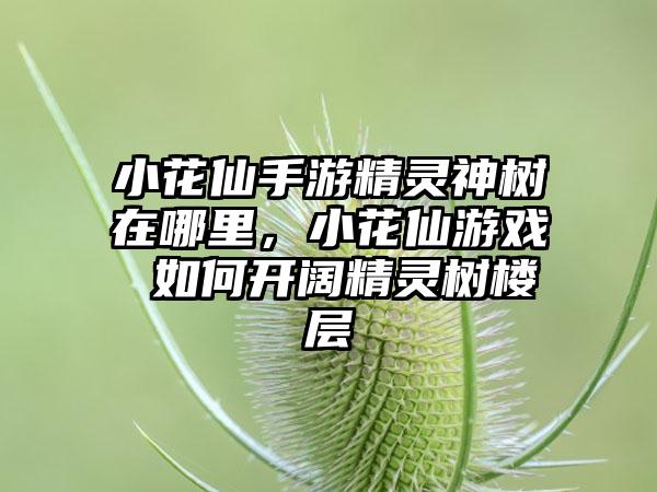 小花仙手游精灵神树在哪里，小花仙游戏 如何开阔精灵树楼层