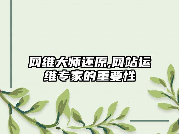 网维大师还原,网站运维专家的重要性
