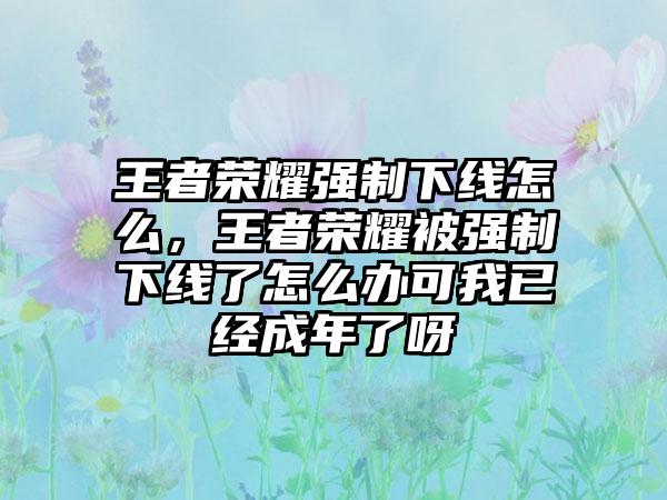 王者荣耀强制下线怎么,王者荣耀被强制下线了怎么办可我已经成年了呀