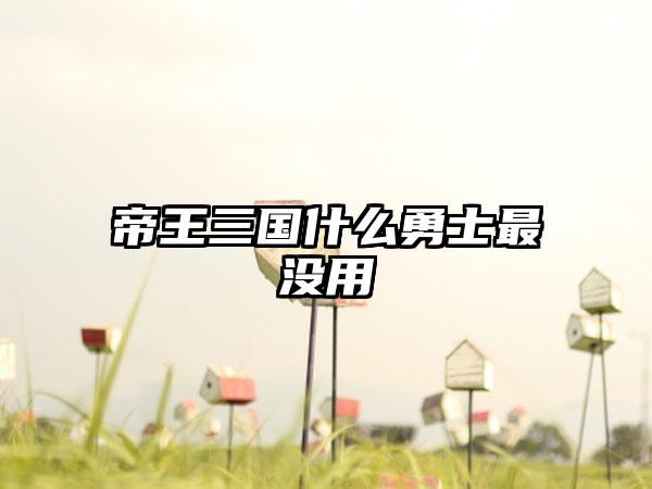 帝王三国什么勇士最没用