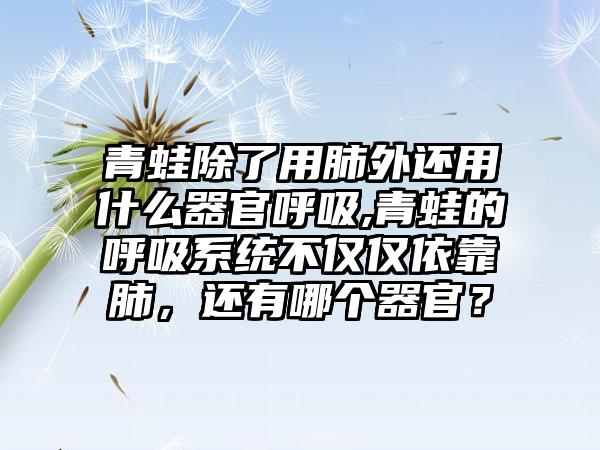 青蛙除了用肺外还用什么器官呼吸,青蛙的呼吸系统不仅仅依靠肺，还有哪个器官？