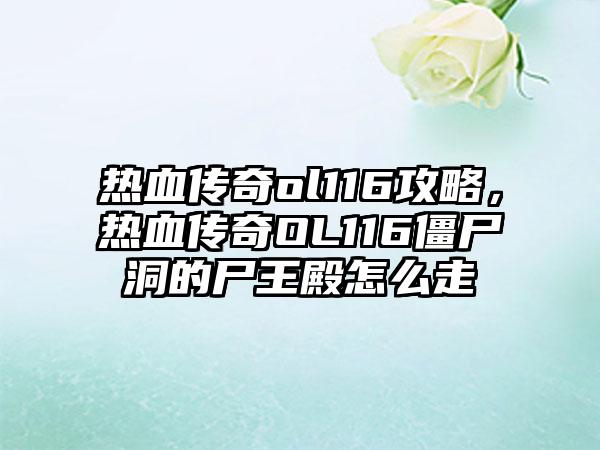 热血传奇ol116攻略，热血传奇OL116僵尸洞的尸王殿怎么走