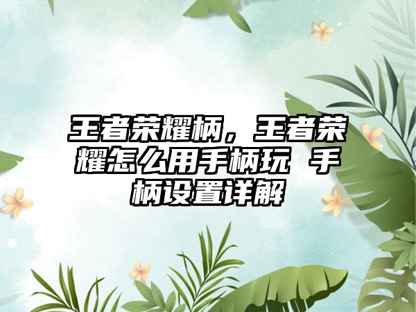 王者荣耀柄，王者荣耀怎么用手柄玩 手柄设置详解