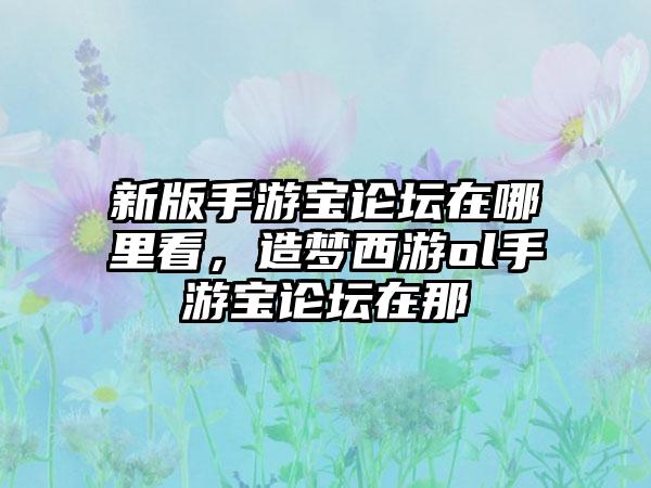 新版手游宝论坛在哪里看，造梦西游ol手游宝论坛在那