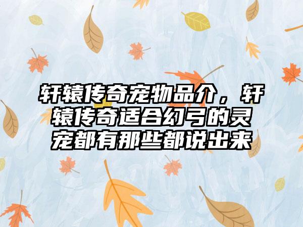 轩辕传奇宠物品介，轩辕传奇适合幻弓的灵宠都有那些都说出来