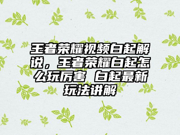 王者荣耀视频白起解说，王者荣耀白起怎么玩厉害 白起最新玩法讲解
