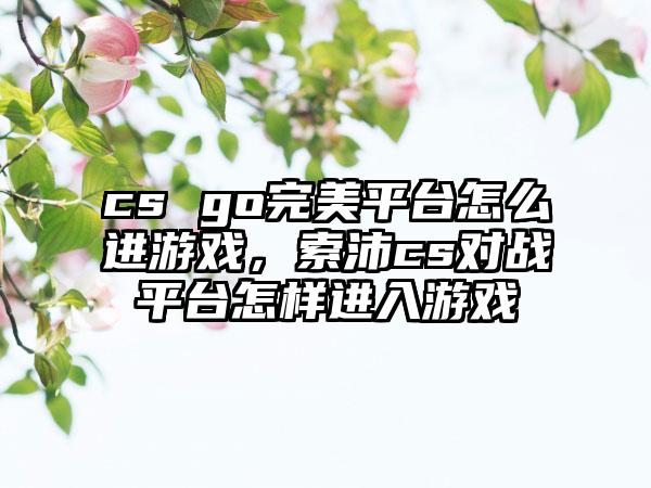 cs go完美平台怎么进游戏，索沛cs对战平台怎样进入游戏