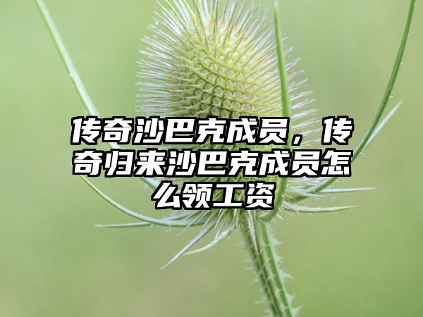传奇沙巴克成员，传奇归来沙巴克成员怎么领工资