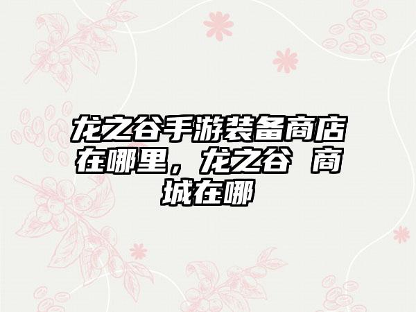 龙之谷手游装备商店在哪里，龙之谷 商城在哪