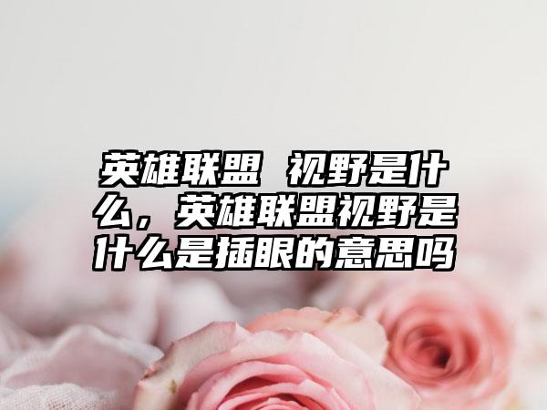 英雄联盟 视野是什么，英雄联盟视野是什么是插眼的意思吗