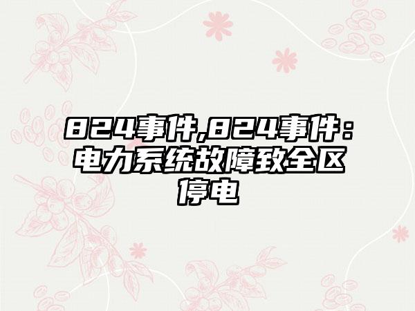 824事件,824事件：电力系统故障致全区停电