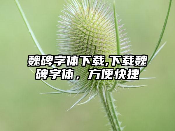 魏碑字体下载,下载魏碑字体，方便快捷